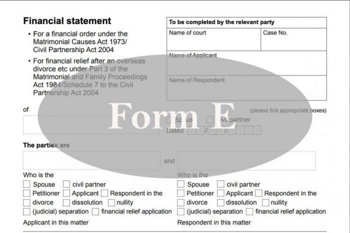 Divorce Form E
