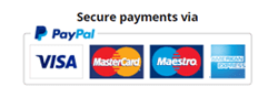 Secure Payments Logo