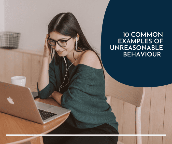 Unreasonable behaviour examples